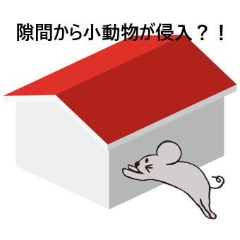 小動物　侵入